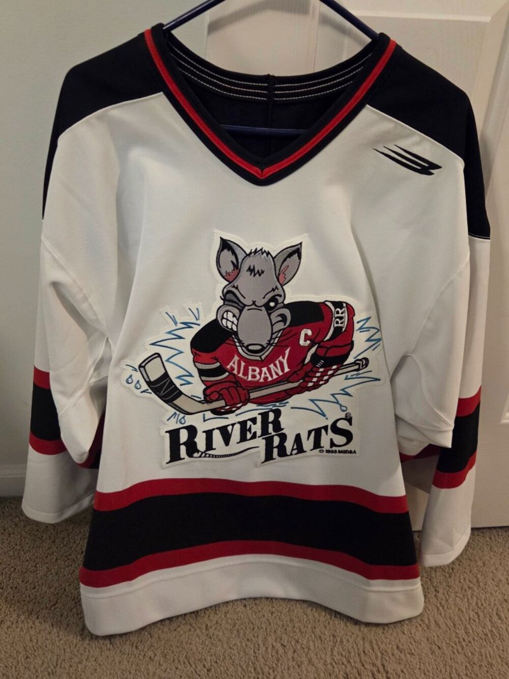 1993 Albany River Rats Inaugural Season